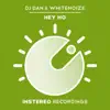 DJ Dan & WhiteNoize - Hey Ho - Single
